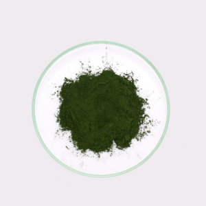 Chlorella-Pulver – Bild 2