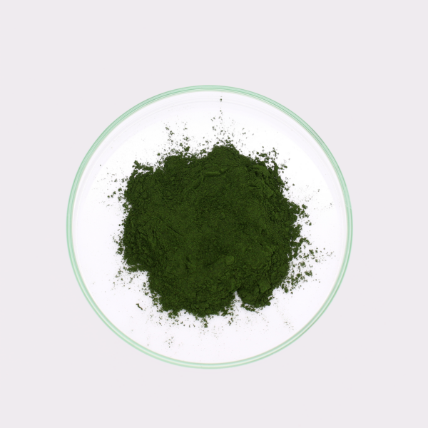 Chlorella-Pulver