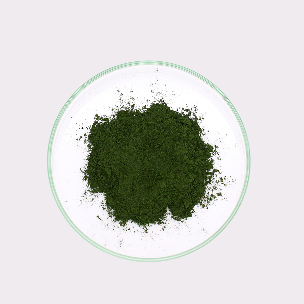 Chlorella-Pulver – Bild 2