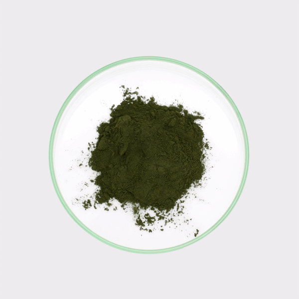 Chlorella-Pulver