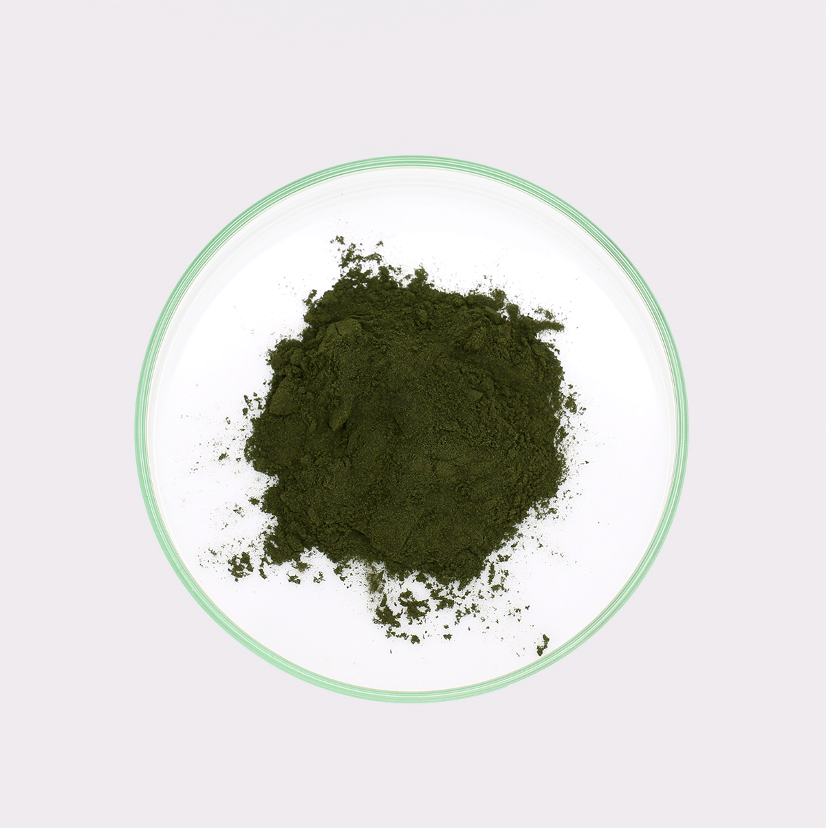 Chlorella-Pulver – Bild 3