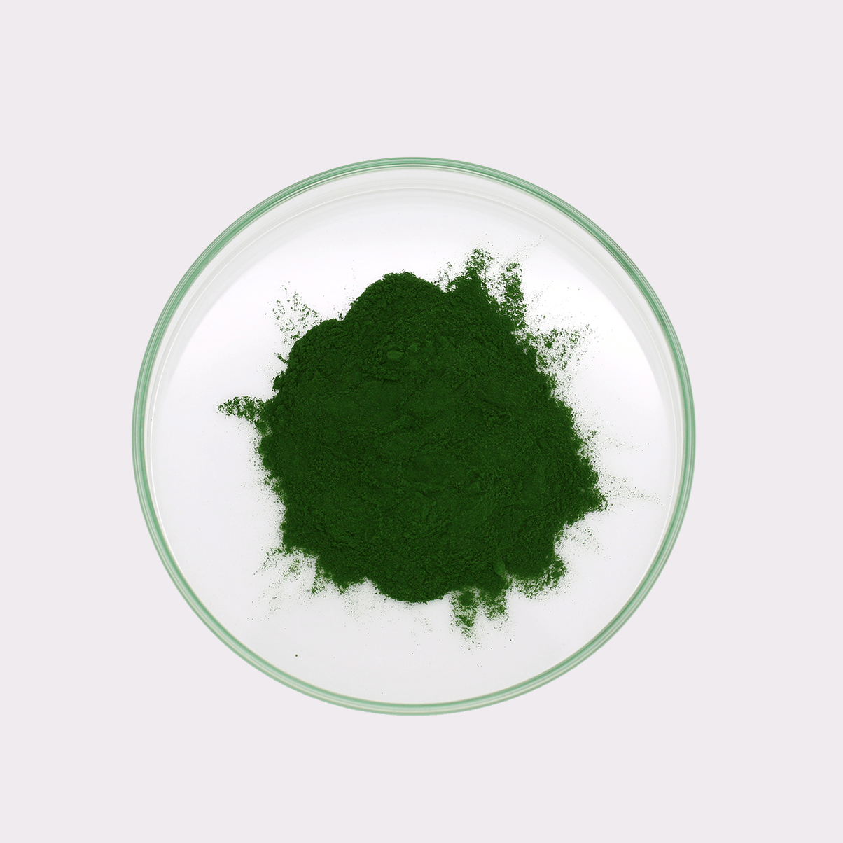 Chlorella-Pulver – Bild 1